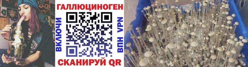 Галлюциногенные грибы ЛСД  Ессентуки 