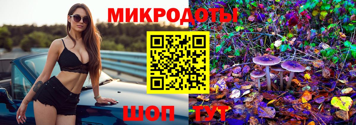 Псилоцибиновые грибы Psilocybe Ессентуки