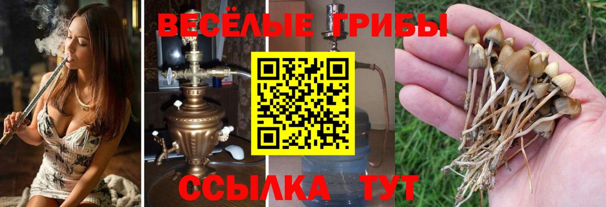 Ессентуки  Псилоцибиновые грибы Magic Shrooms  Вход с VPN 