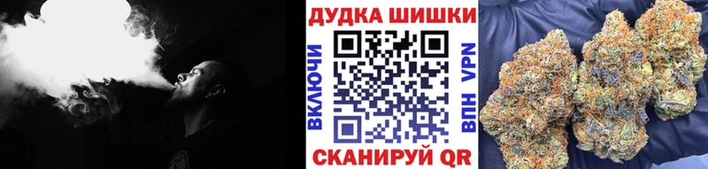 Шишки марихуана конопля Ессентуки