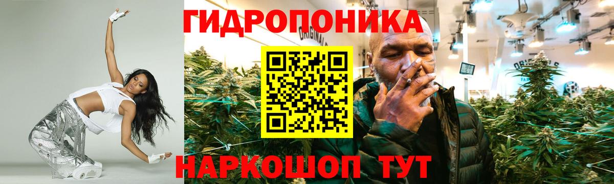 Меф   Бошки Шишки  Ессентуки  Вход с VPN  Сколько стоит 